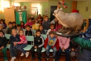 Animais de museu são utilizados nas atividades de Educação Ambiental