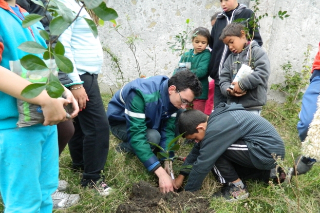 Plantio de mudas nativas no pátio da E.E.E.F. Alcides Barcelos é realizado em conjunto com os estudantes - 19 de junho de 2012