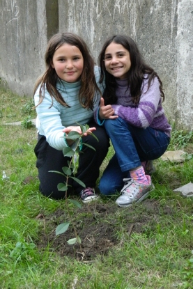 As alunas da E.E.E.F. Alcides Barcelos junto a muda de árvore nativa que plantaram no pátio da escola - 19 de junho de 2012