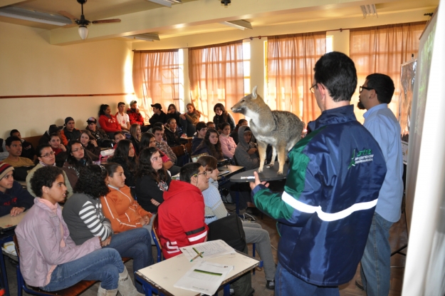 As principais características do cachorro-do-campo (Lycalopex gymnocercus) foi assunto da palestra aos alunos da E.E.E.M. Alfredo Ferreira Rodrigues - 26 de junho de 2012