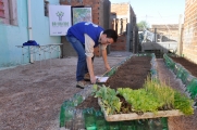 Plantio de horta marca Dia Mundial da Educação em escola na Vila Princesa